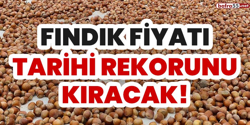 Fındık fiyatı tarihi rekorunu kıracak!