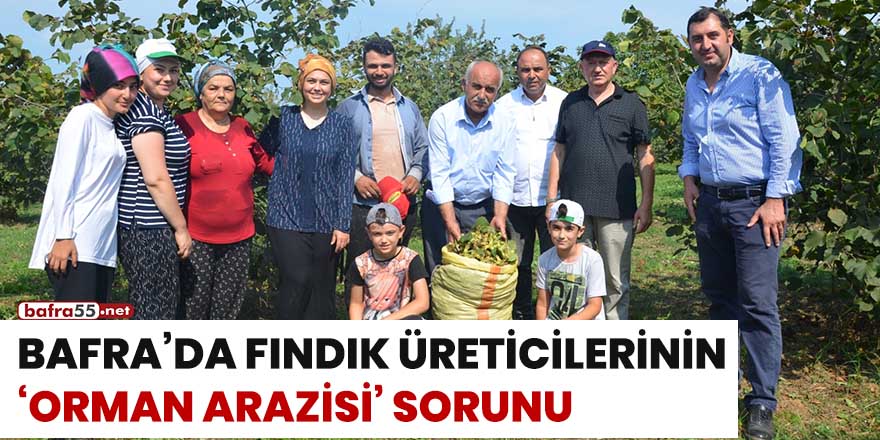 Bafra'da fındık üreticilerinin 'orman arazisi' sorunu