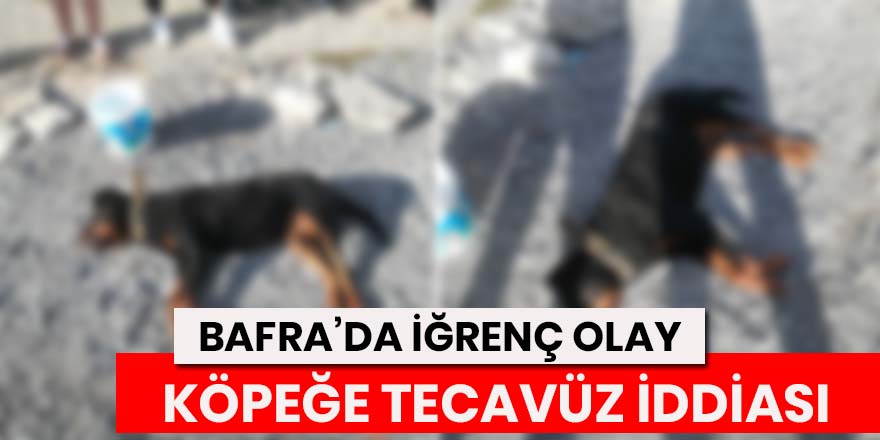 Bafra’da Köpeğe Tecavüz iddiası