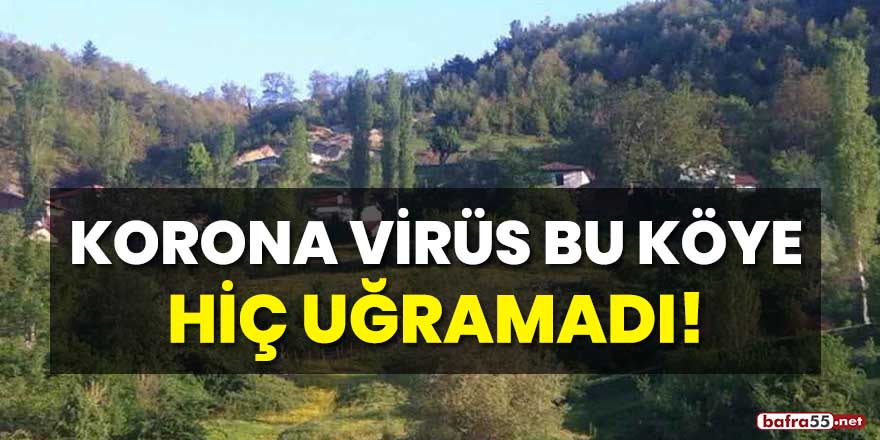 Korona virüs bu köye hiç uğramadı!