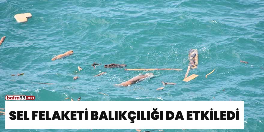 Sel felaketi balıkçılığı da etkiledi