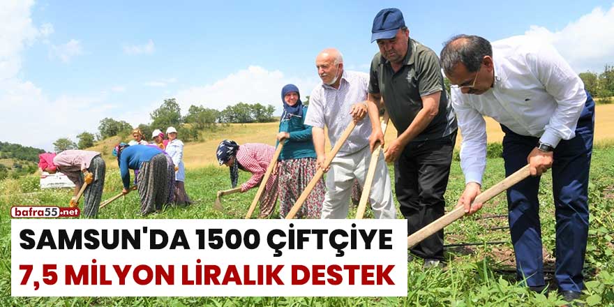 Samsun'da 1500 çiftçiye 7,5 milyon liralık destek