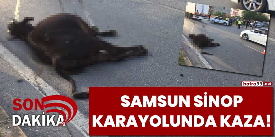 Samsun Sinop karayolunda kaza!