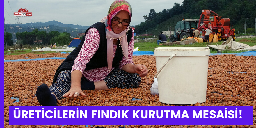 Üreticilerin fındık kurutma mesaisi