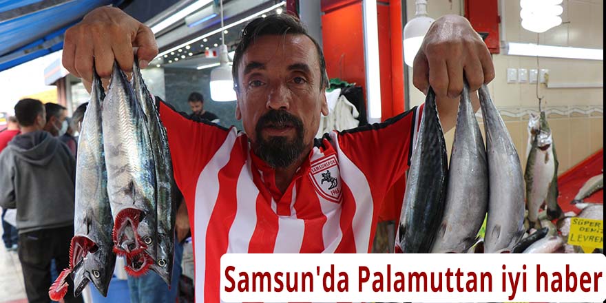 Samsun'da Palamuttan iyi haber