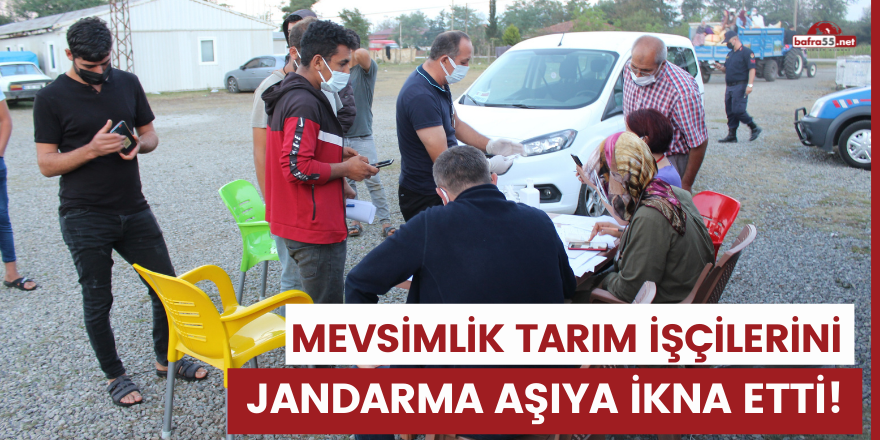 Mevsimlik tarım işçilerini Jandarma aşıya ikna etti!