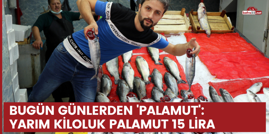 Bugün günlerden 'palamut': Yarım kiloluk palamut 15 lira