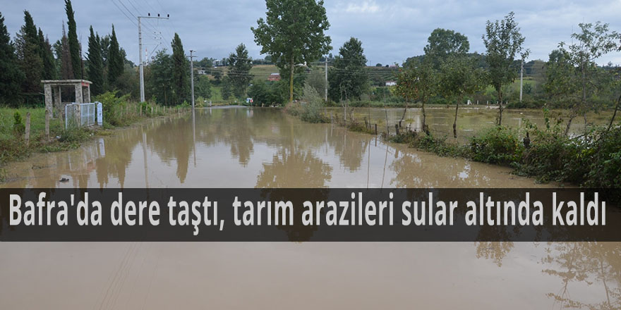 Bafra'da dere taştı, tarım arazileri sular altında kaldı