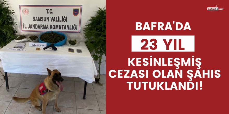 Bafra Jasat dedektiflerinden şafak baskını