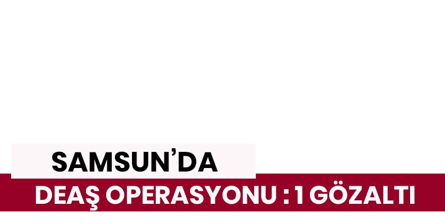 Samsun'da DEAŞ operasyonu: 1 gözaltı