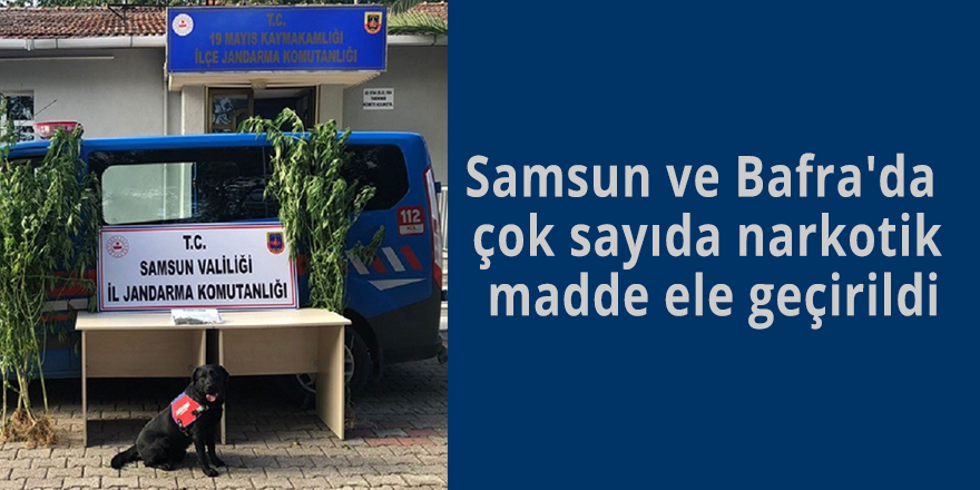 Samsun ve Bafra'da  çok sayıda narkotik madde ele geçirildi