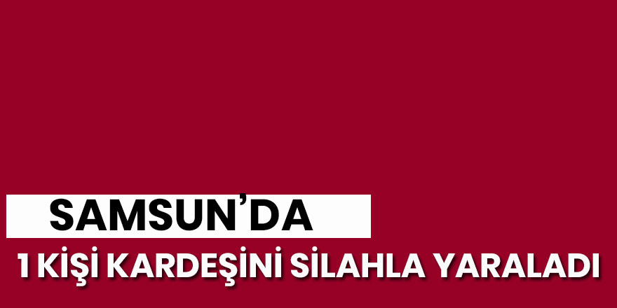 Samsun'da bir kişi kardeşini silahla yaraladı