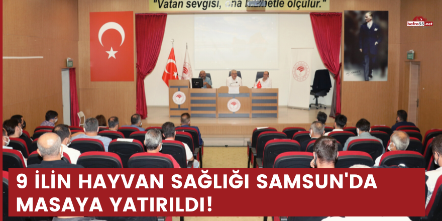 9 ilin hayvan sağlığı Samsun'da masaya yatırıldı