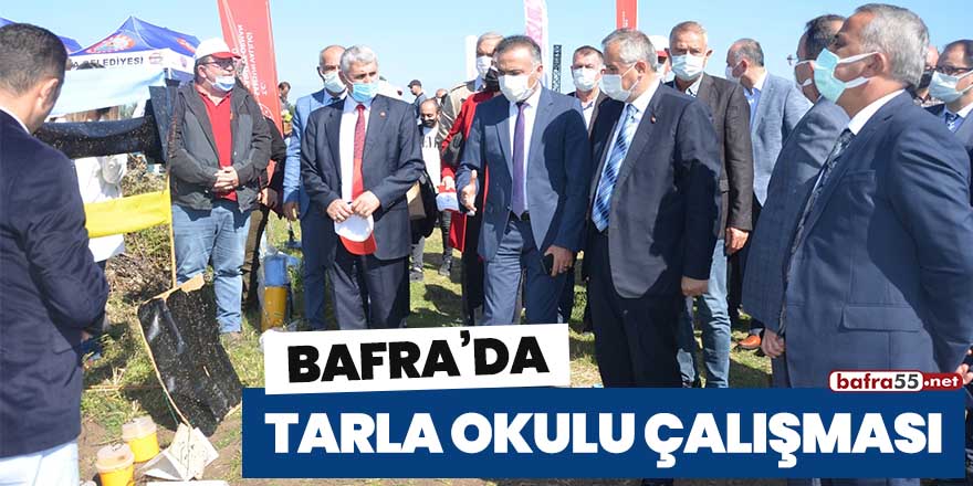 Bafra'da tarla okulu çalışması