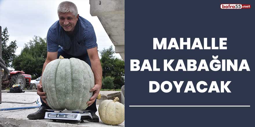 Mahalle bal kabağına doyacak