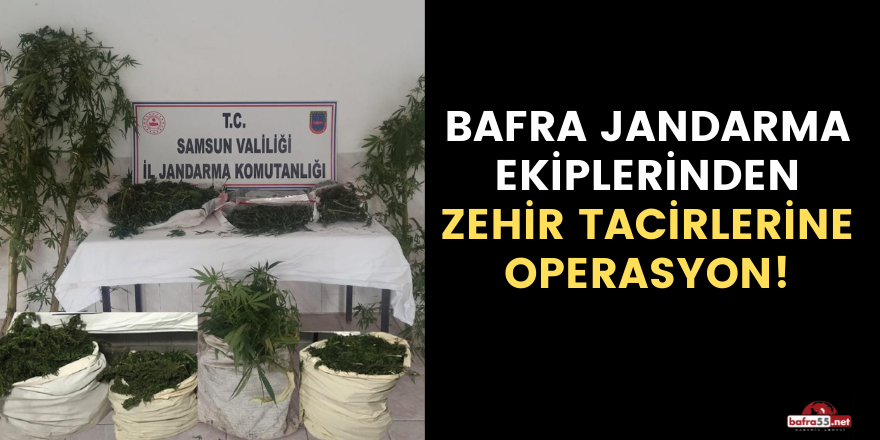 Bafra Jandarma ekiplerinden zehir tacirlerine operasyon