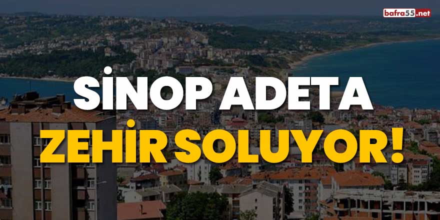 Sinop adeta zehir soluyor!