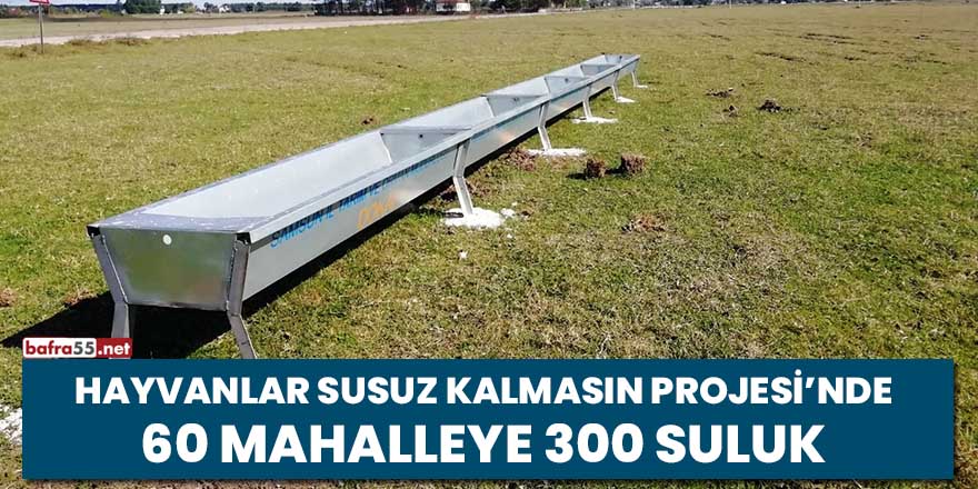 Hayvanlar Susuz Kalmasın Projesi'nde 60 mahalleye 300 suluk