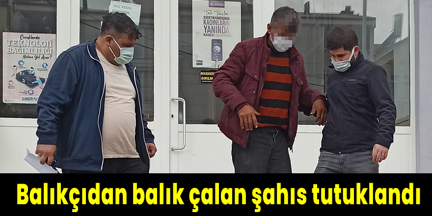 Balıkçıdan balık çalan şahıs tutuklandı