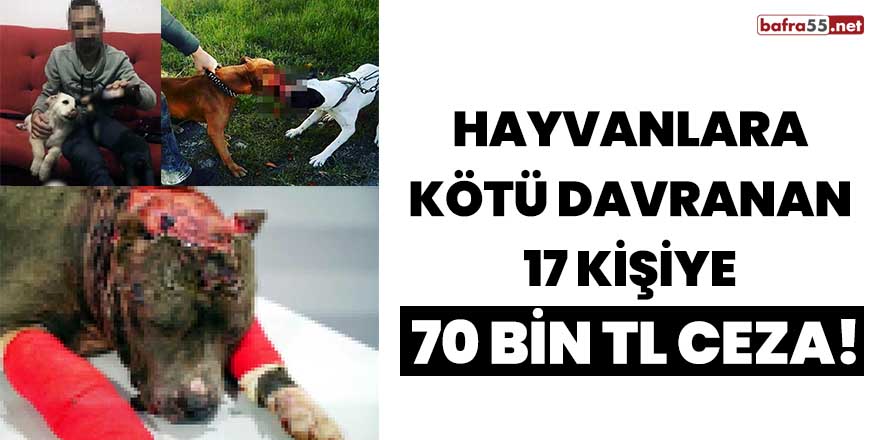 Hayvanlara kötü davranan 17 kişiye 70 bin TL ceza