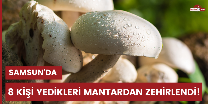 Samsun'da 8 kişi yedikleri mantardan zehirlendi