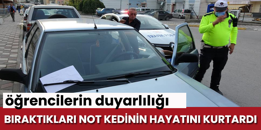 Öğrencilerin bıraktığı not kedinin hayatını kurtardı