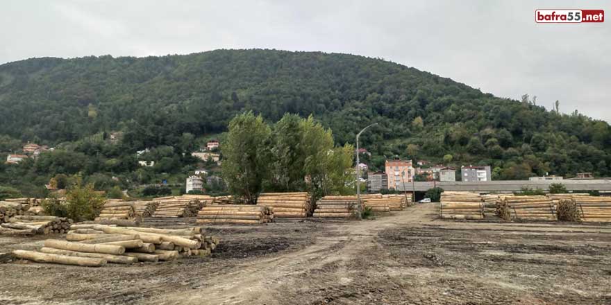 Ayancık eski kereste fabrikası, yıllar sonra orman deposuna dönüştü