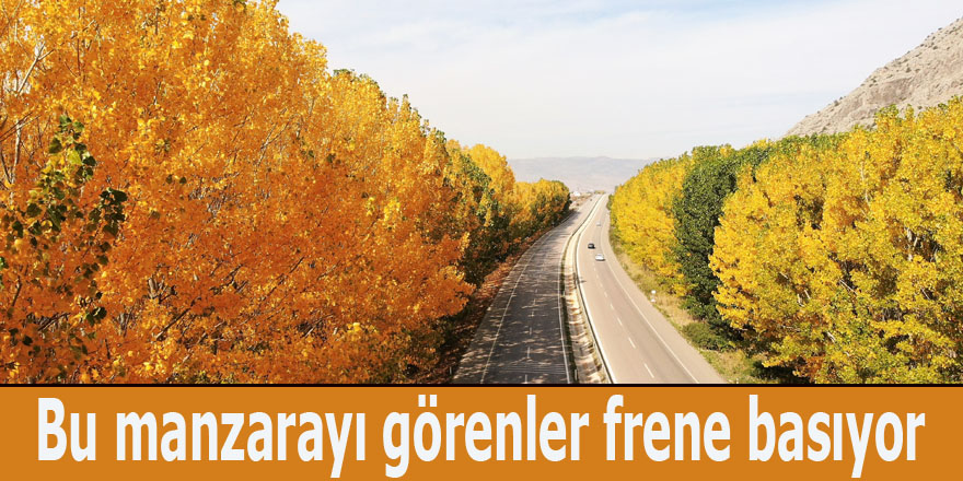 Bu manzarayı görenler frene basıyor