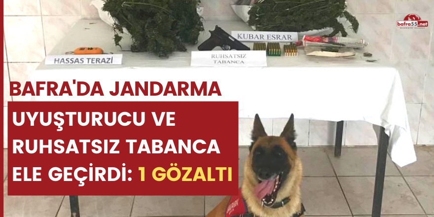 Bafra'da Jandarma uyuşturucu ve ruhsatsız tabanca ele geçirdi: 1 gözaltı