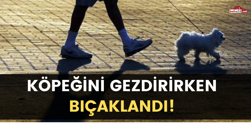 Köpeğini gezdirirken bıçaklandı