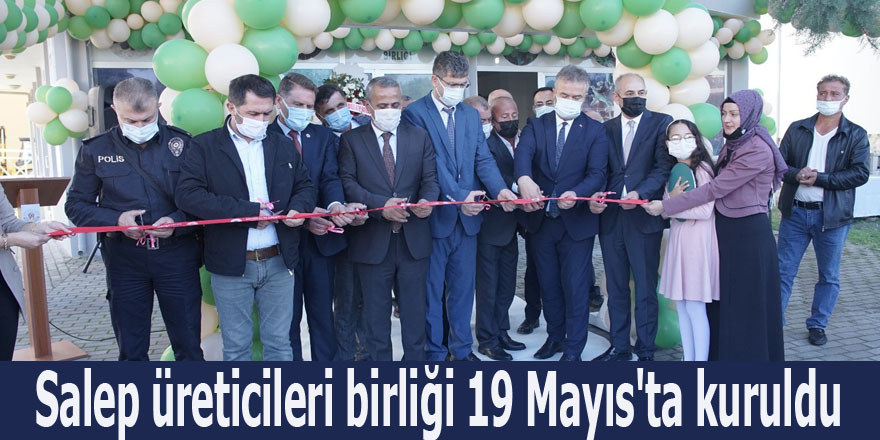 Salep üreticileri birliği 19 Mayıs'ta kuruldu