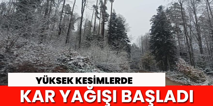 Yüksek kesimlerde kar yağışı başladı