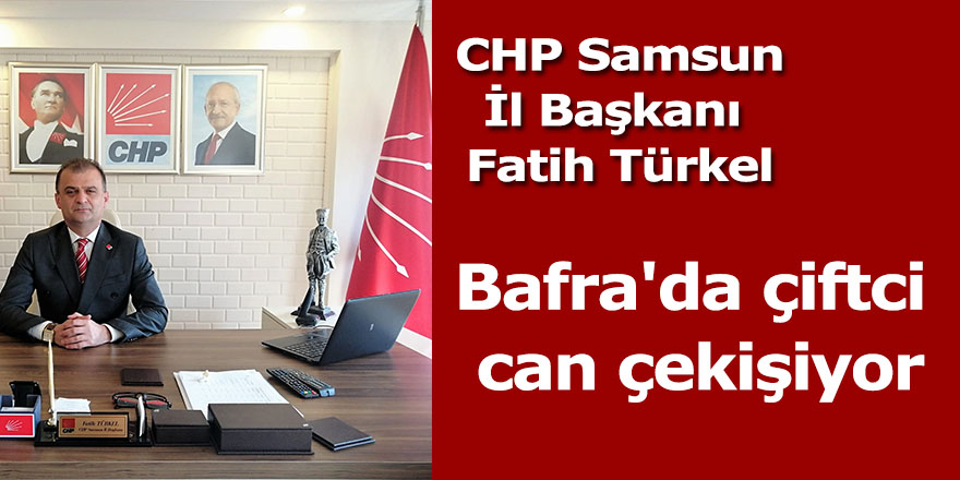 Bafra'da çiftci can çekişiyor