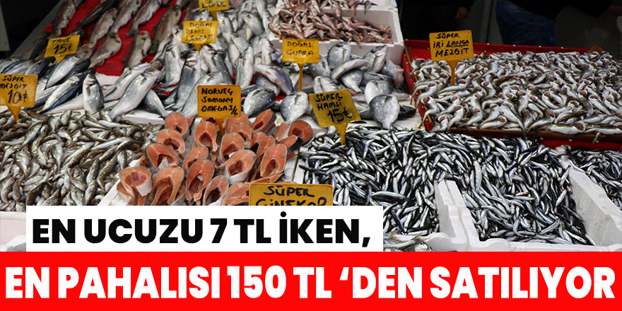 Karadeniz’in en ucuz balığı 7 TL, en pahalısı 150 TL