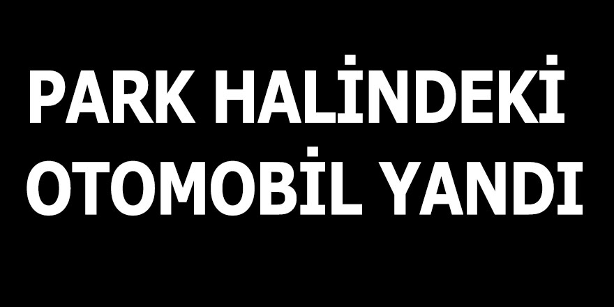 SAMSUN'DA PARK HALİNDEKİ OTOMOBİL YANDI