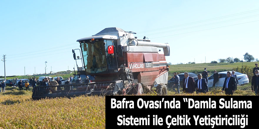 Bafra Ovası’nda “Damla Sulama Sistemi ile Çeltik yetiştiricliği"