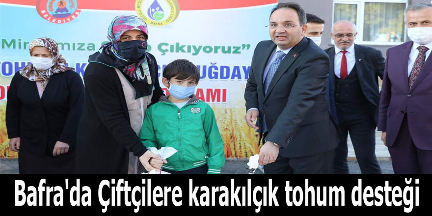 Bafra'da Çiftçilere karakılçık tohum desteği