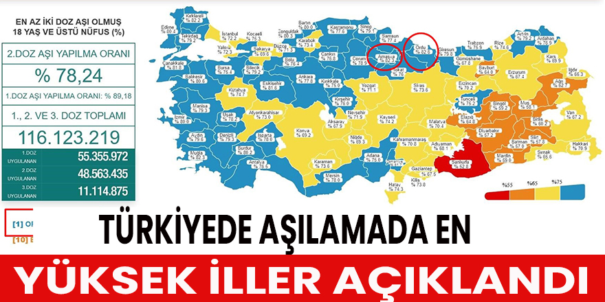 Türkiyede Aşılamada En Yüksek İller Açıklandı.