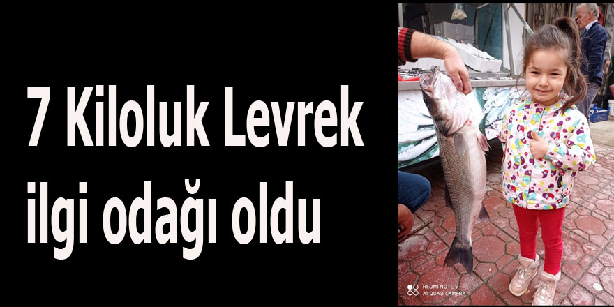 7 Kiloluk Levrek ilgi odağı oldu