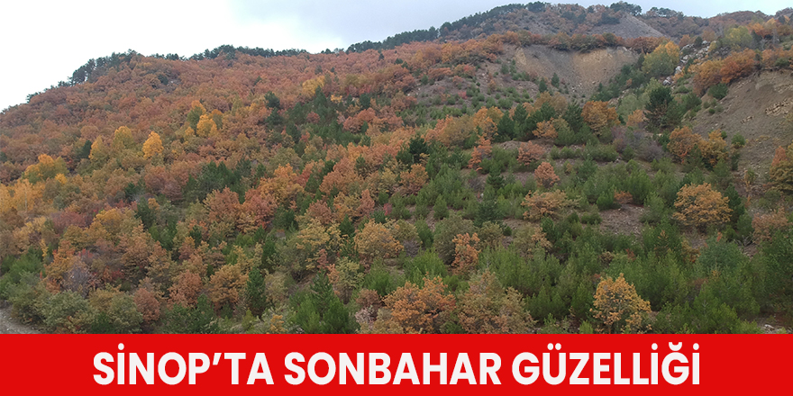 Sinop’ta sonbahar güzelliği