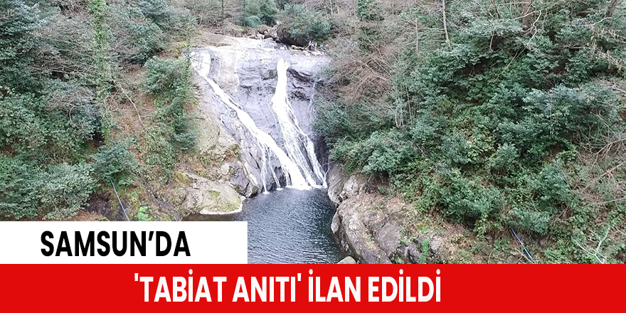 'Tabiat anıtı' ilan edildi