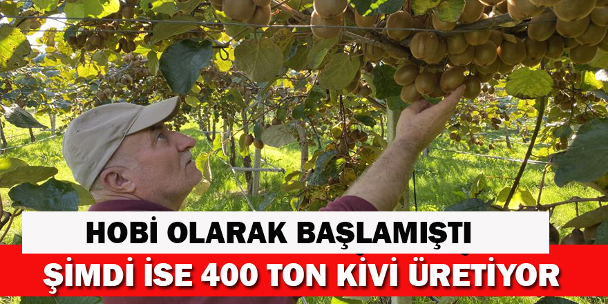 Hobi Olarak Başlamışlardı