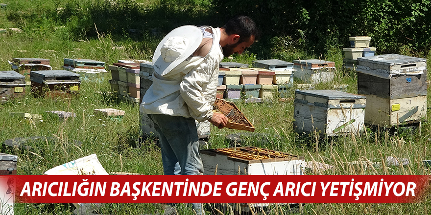 Arıcılığın başkentinde genç arıcı yetişmiyor