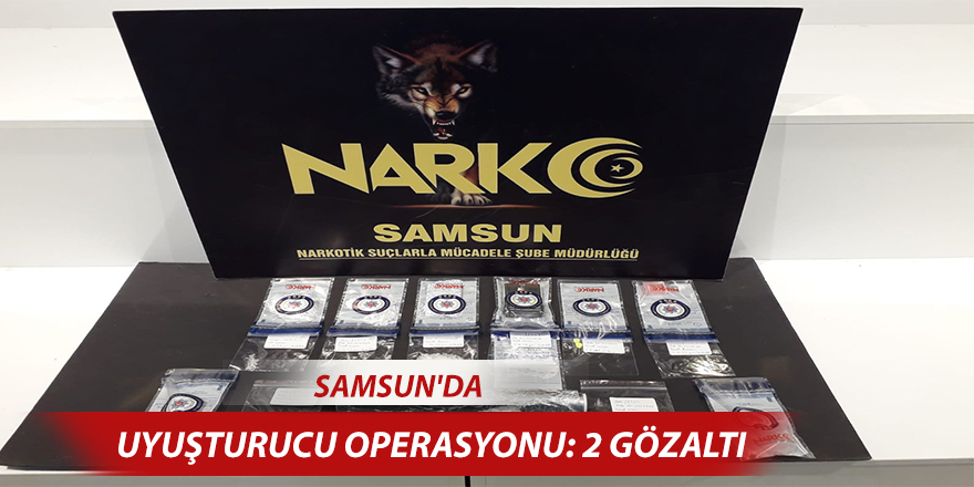 Samsun'da uyuşturucu operasyonu: 2 gözaltı