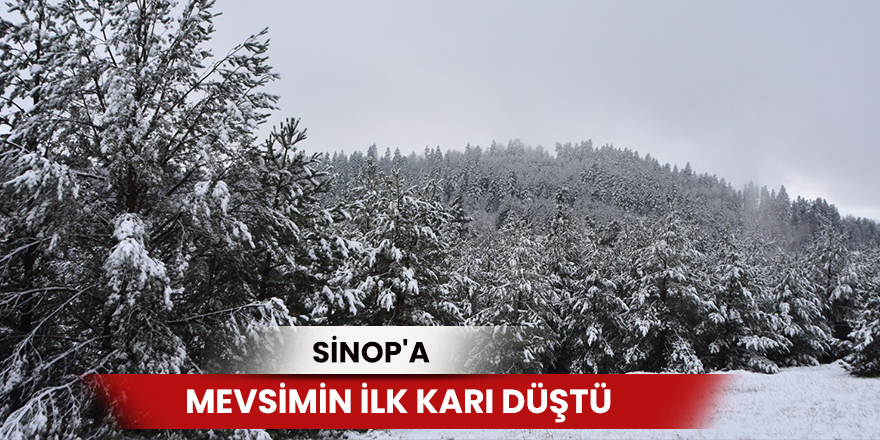 Sinop'a mevsimin ilk karı düştü