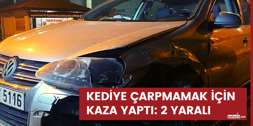 Kediye çarpmamak için direksiyonu kırdı