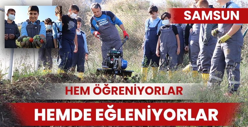 Okuldaki serada hem öğreniyor hem eğleniyorlar