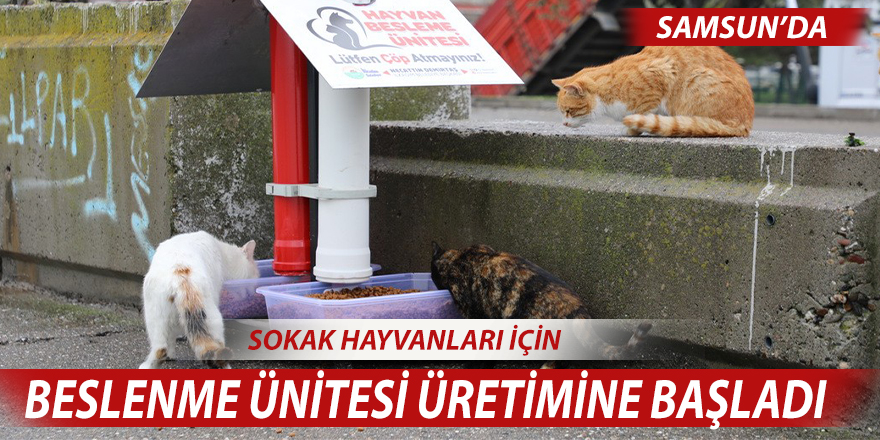 Sokak hayvanları için beslenme ünitesi üretimine başladı