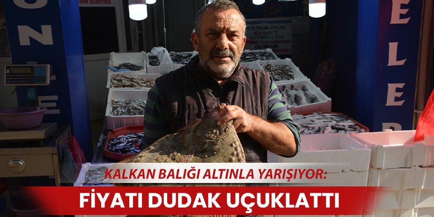 Kalkan balığı altınla yarışıyor