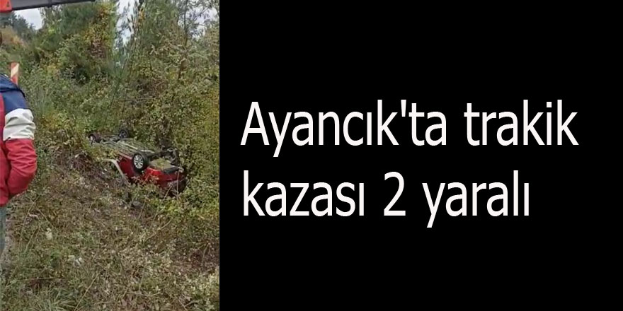 Ayancık'ta trakik kazası 2 yaralı